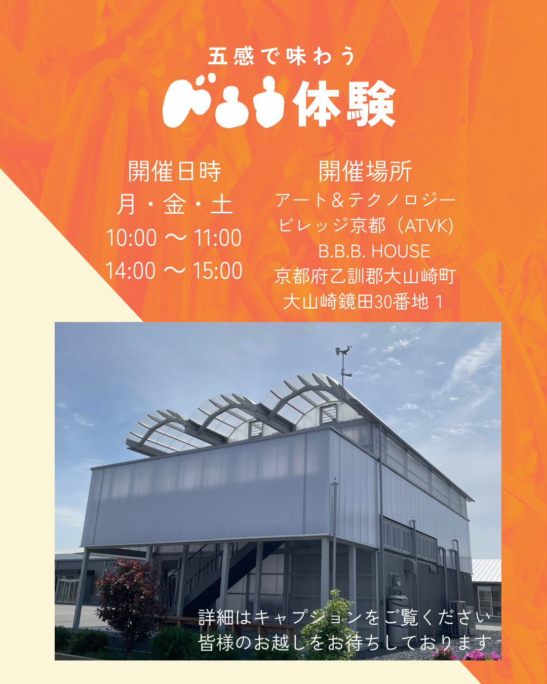 五感で味わうバニラ体験