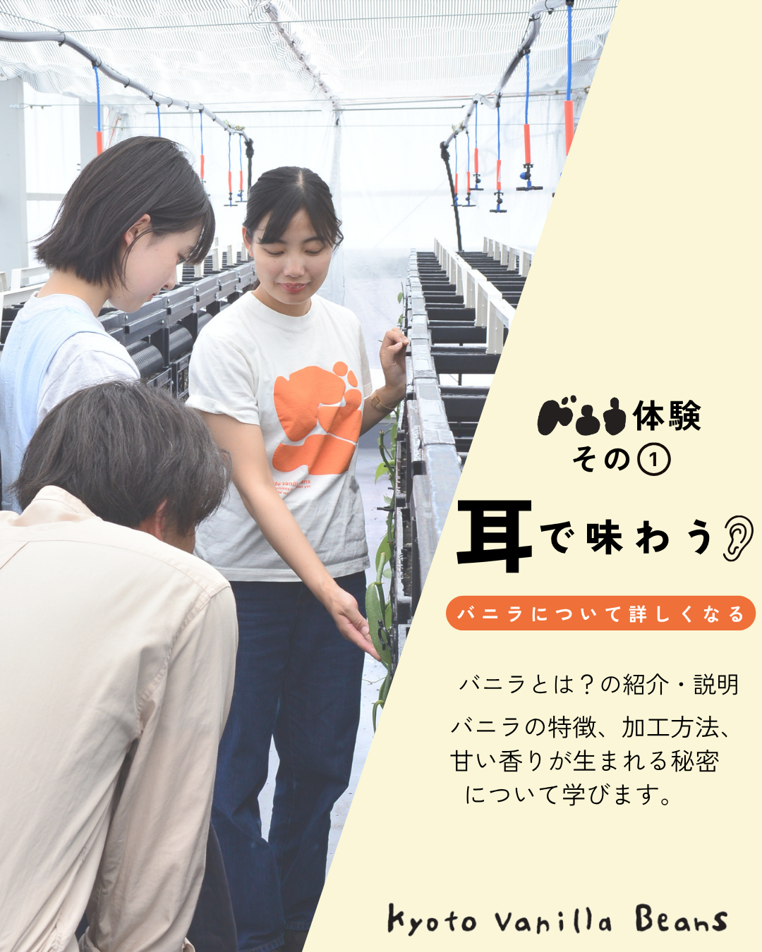 五感で味わうバニラ体験