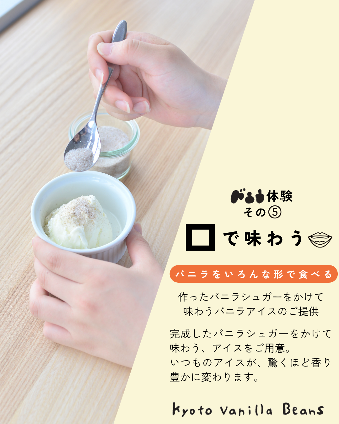 五感で味わうバニラ体験